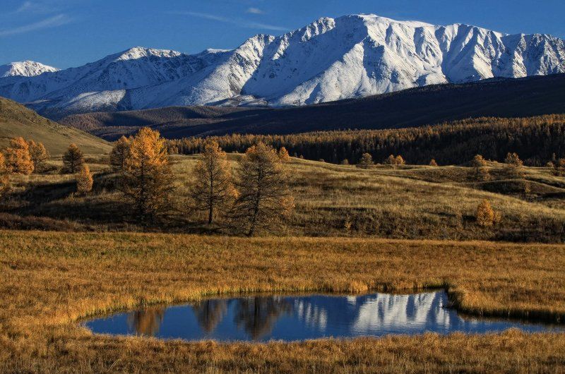Как пчёлы на мёд... :-))