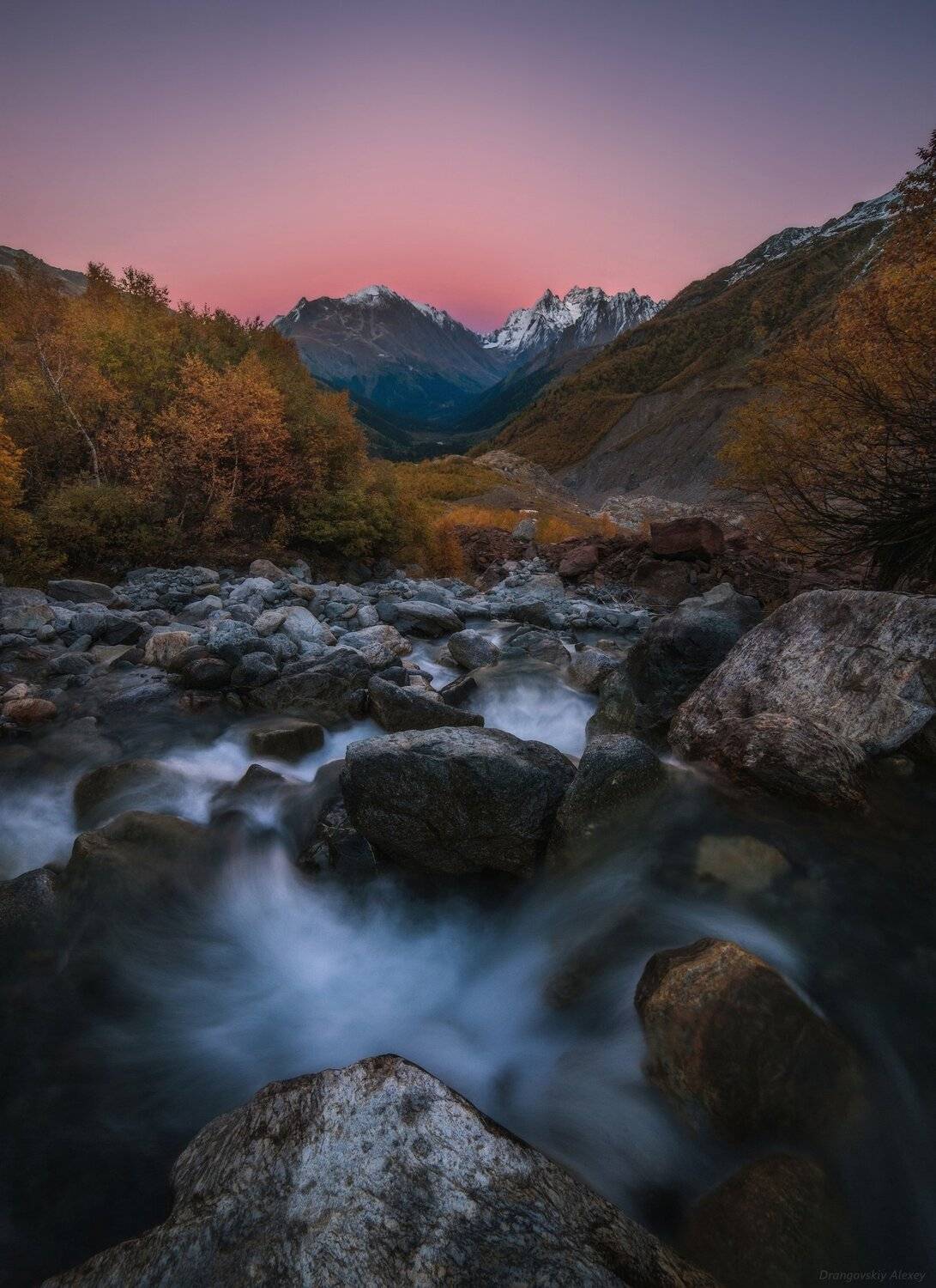 , Алексей Дранговский