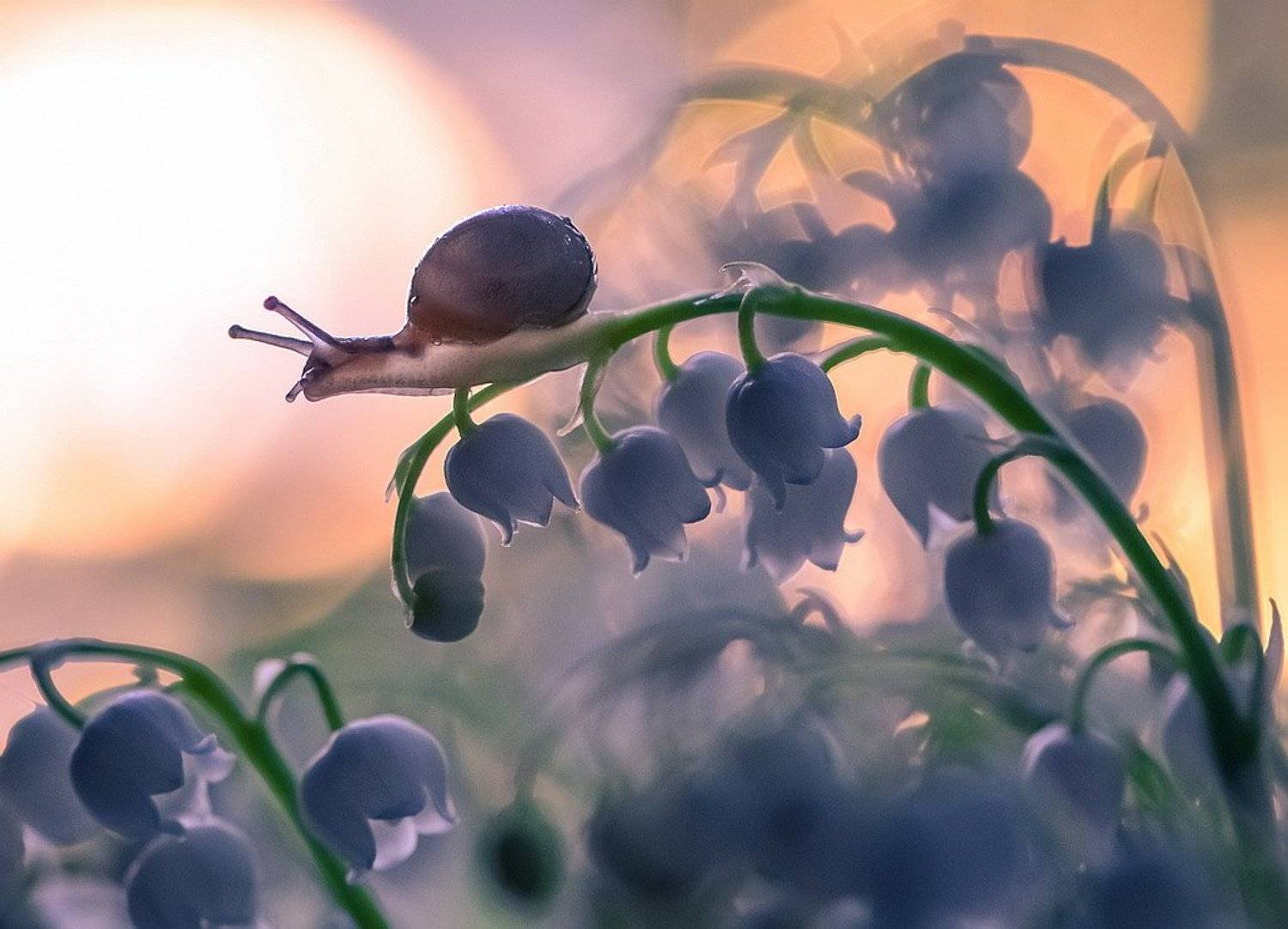 , Вячеслав Мищенко