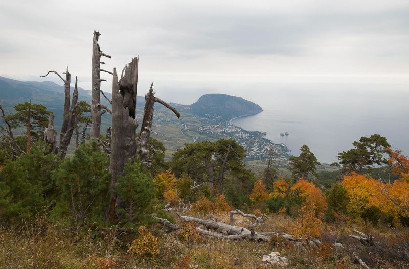 И вновь я здесь и ничего не изменилось....... фото превью
