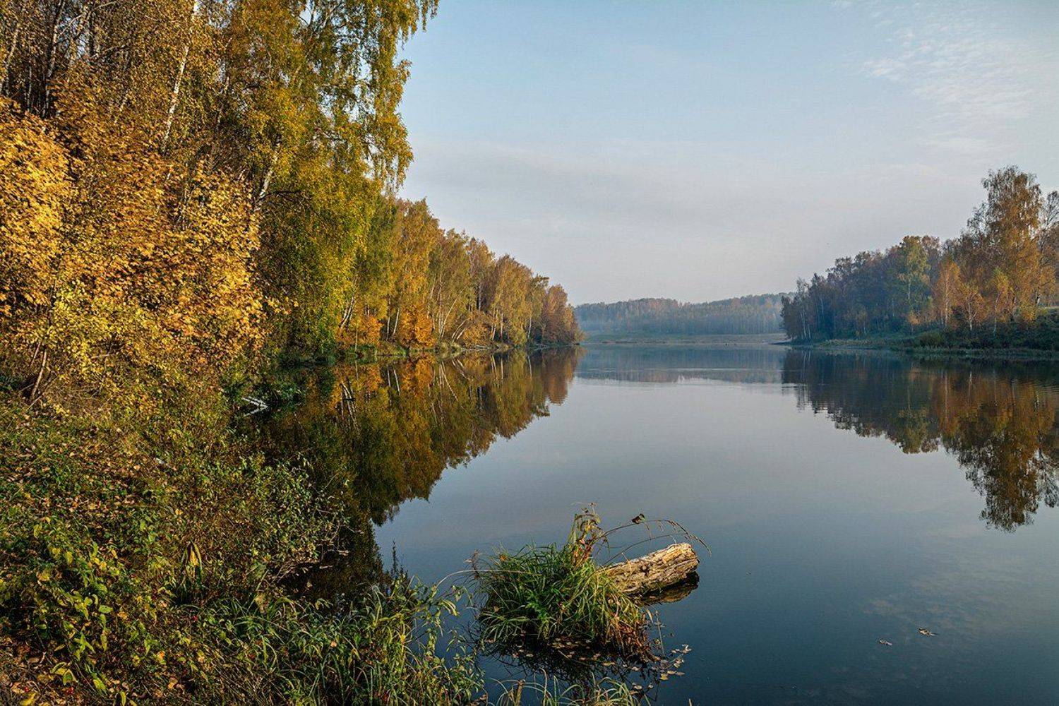 , Анатолий Зверев