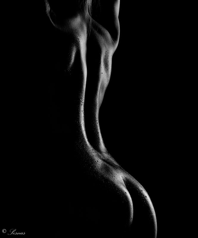 Студия42, ню, блики, капли Этюд № 2 фото превью