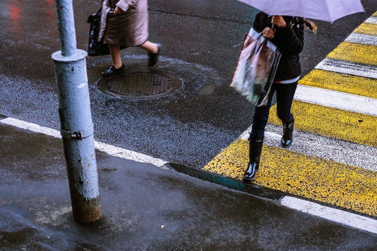 , Большаков Илья