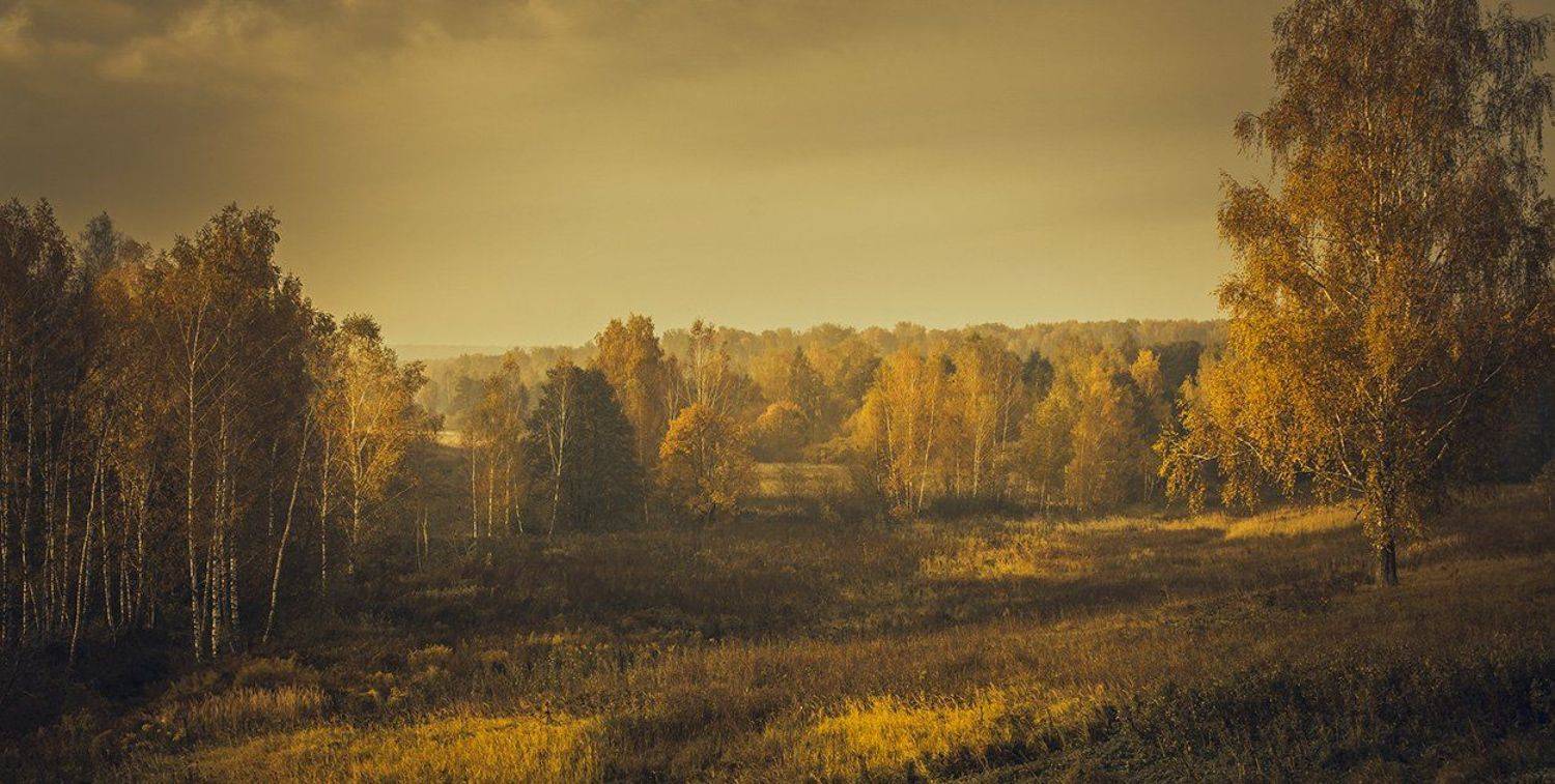 , Анатолий Зверев