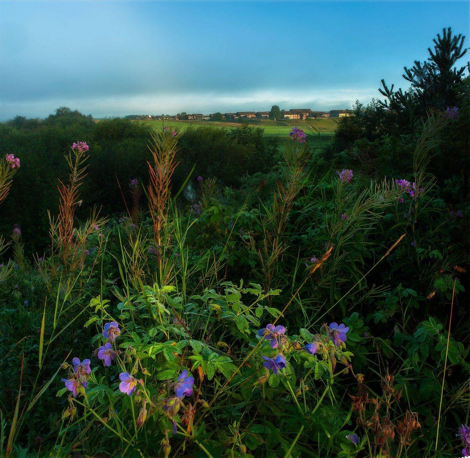 , Иван Митюшев