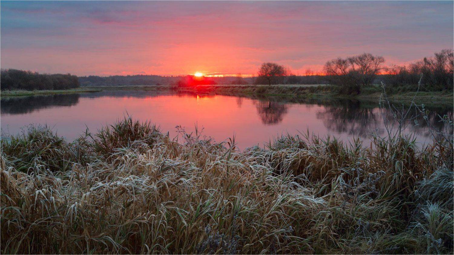 , Михаил Кушнер