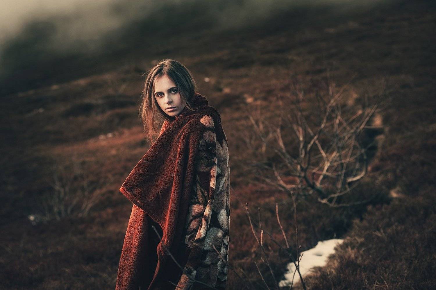 , Аркадий Курта