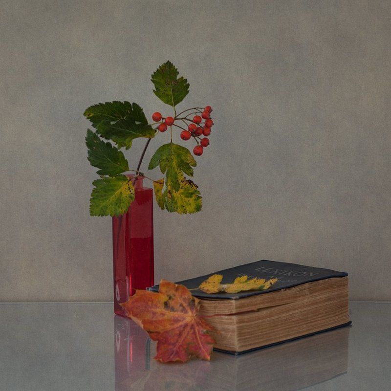 book фото превью