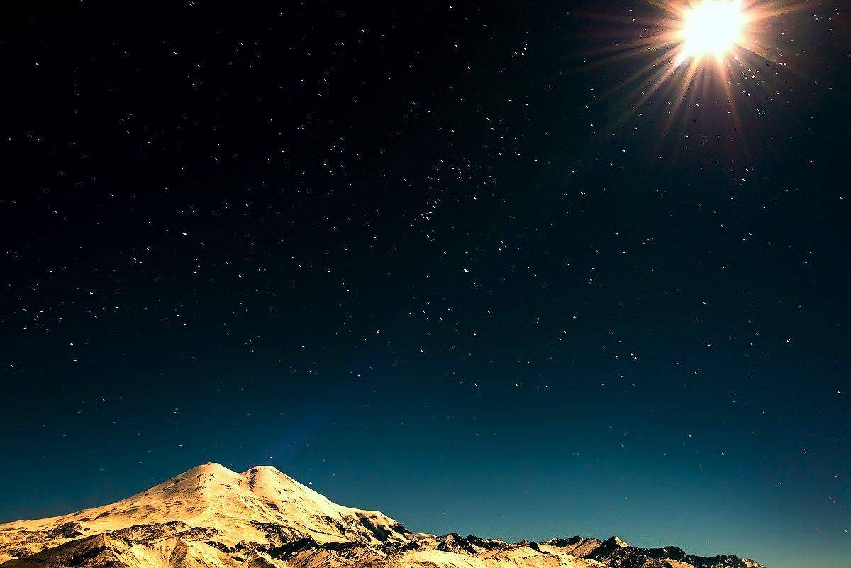 , Елена Брежицкая