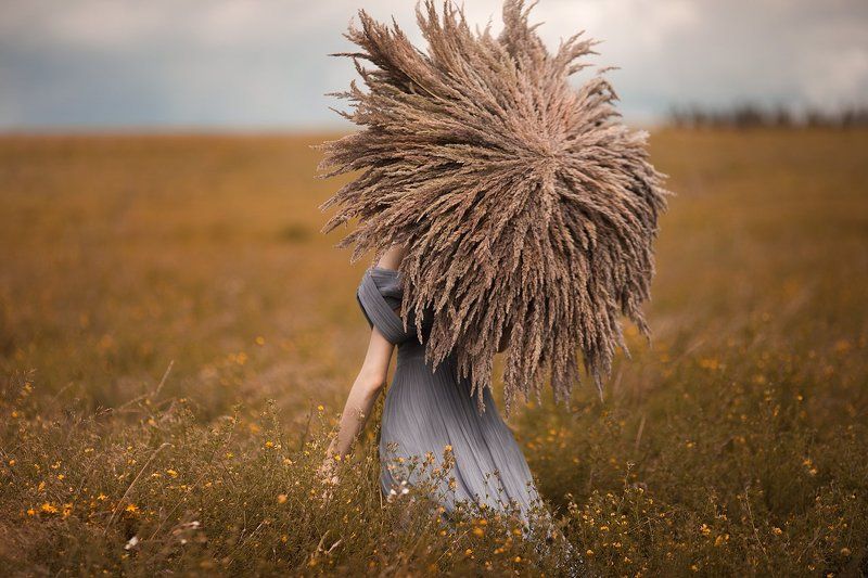 International Floral Art 2016-2017 фото превью