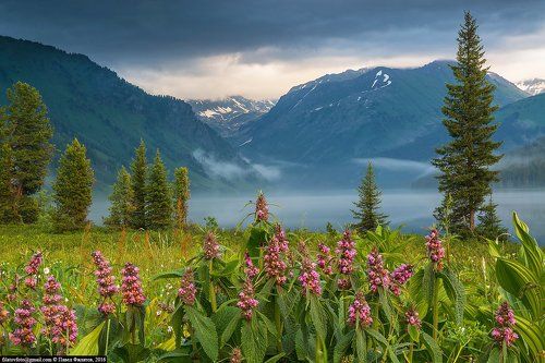 На берегу Тайменьего