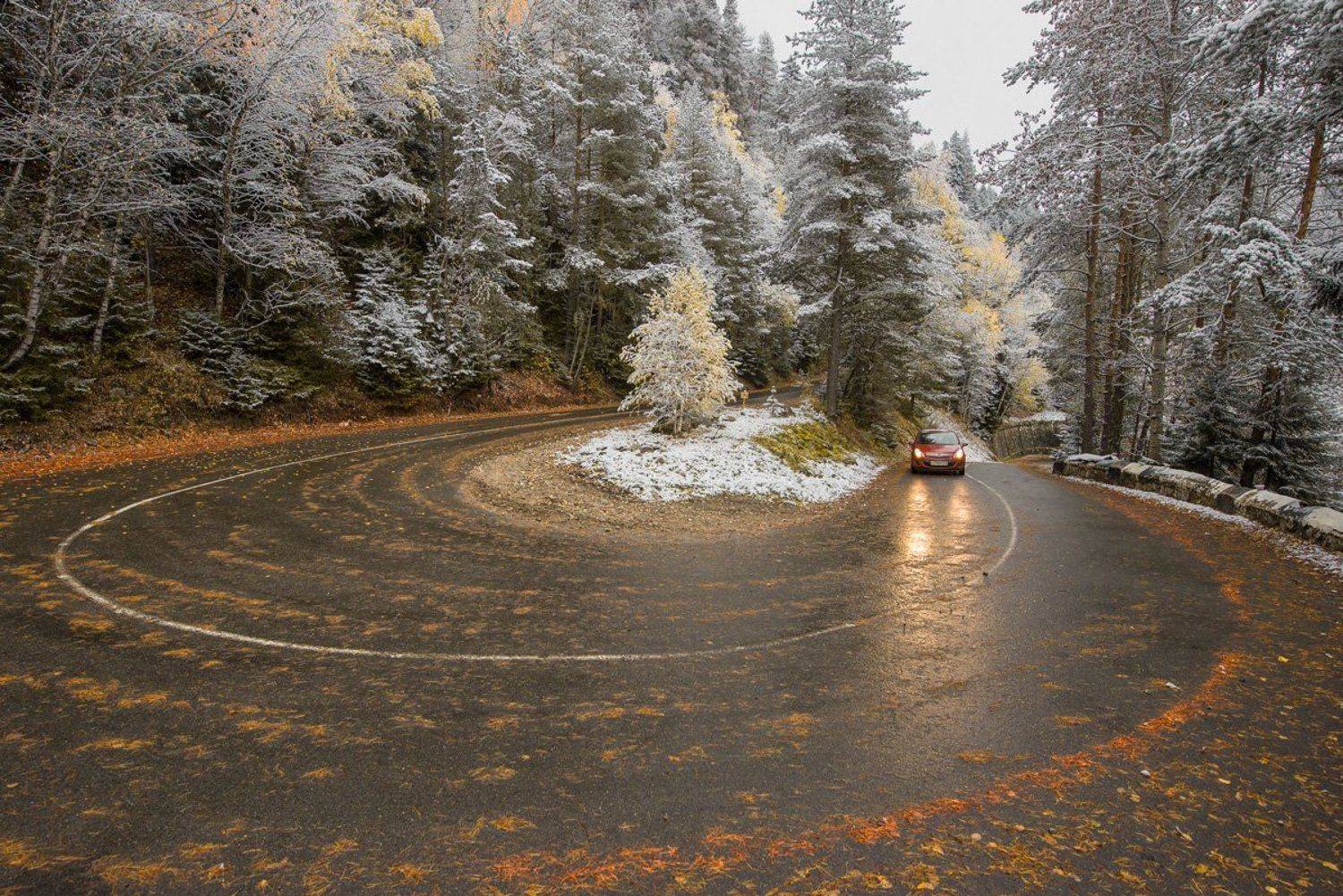 , Алексей Яковлев