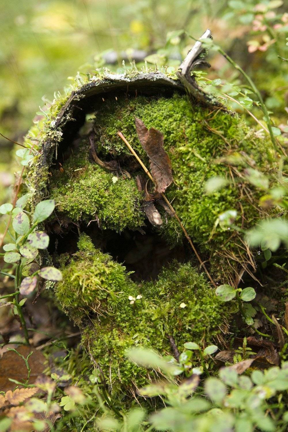 , Владимир Письмак