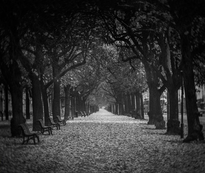 Стокгольм, Швеция  фото превью