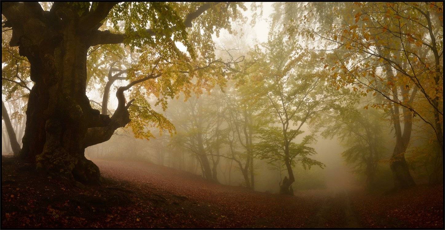 , Владимир Метцгер