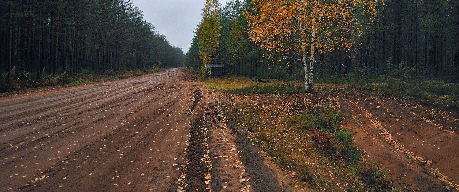 , Андрей Куликов