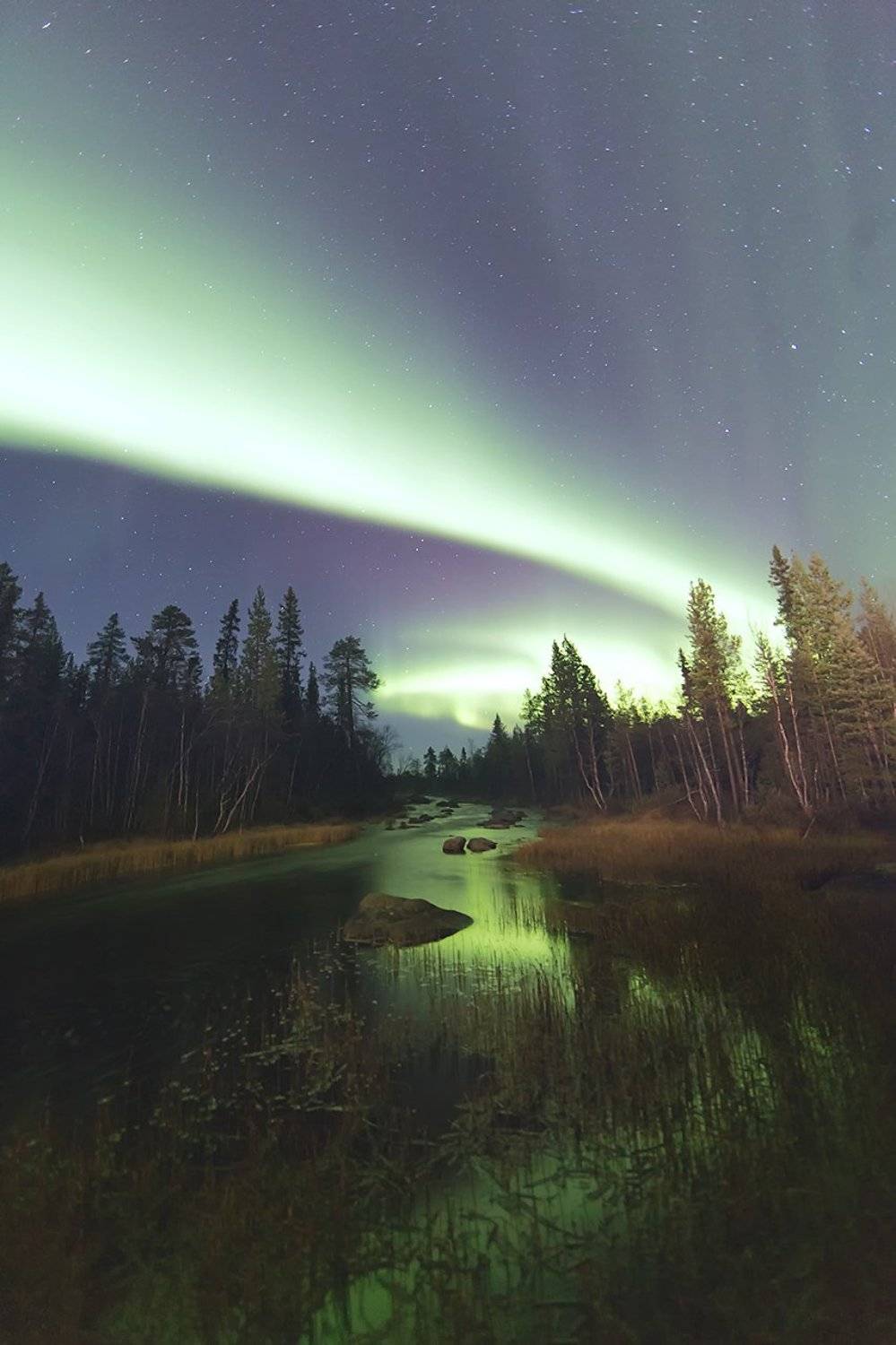 , Любовь Трифонова