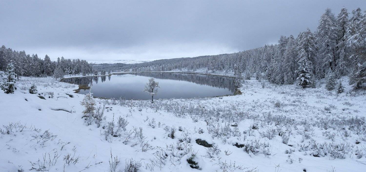 , Лещёнок Александр
