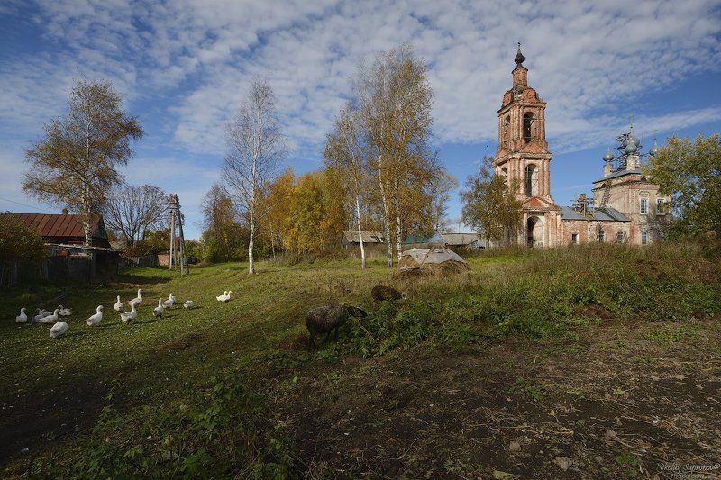 Ивановская область, Приволжский район, Красинское, Храм, Село, Сельский пейзаж, Глубинка, Осень, Золотая Осень Тёплый денёк в Красинском фото превью