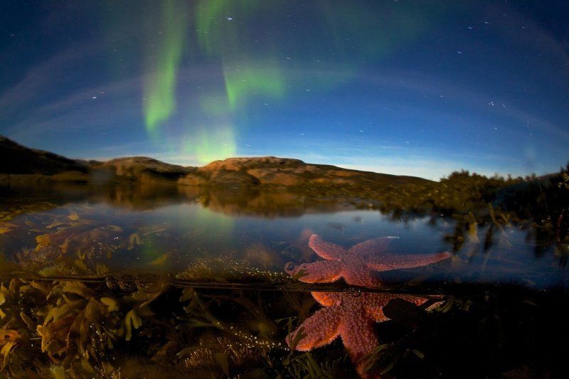 И звезда с звездою говорит... фото превью