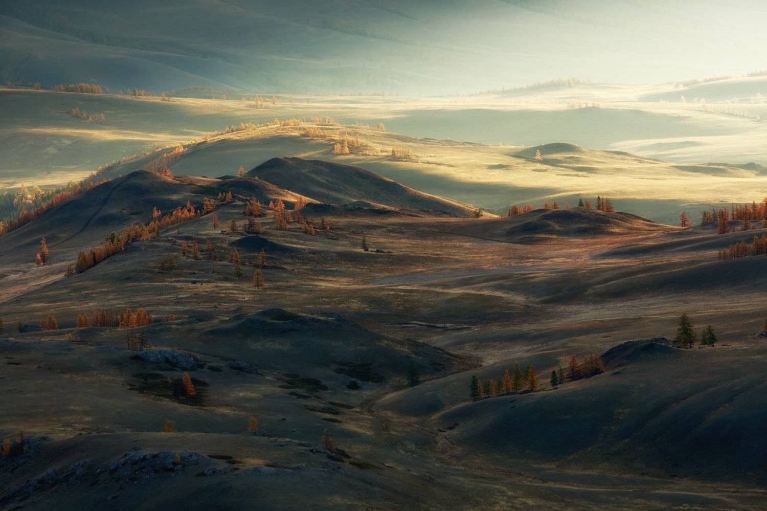 , Бруно Томский