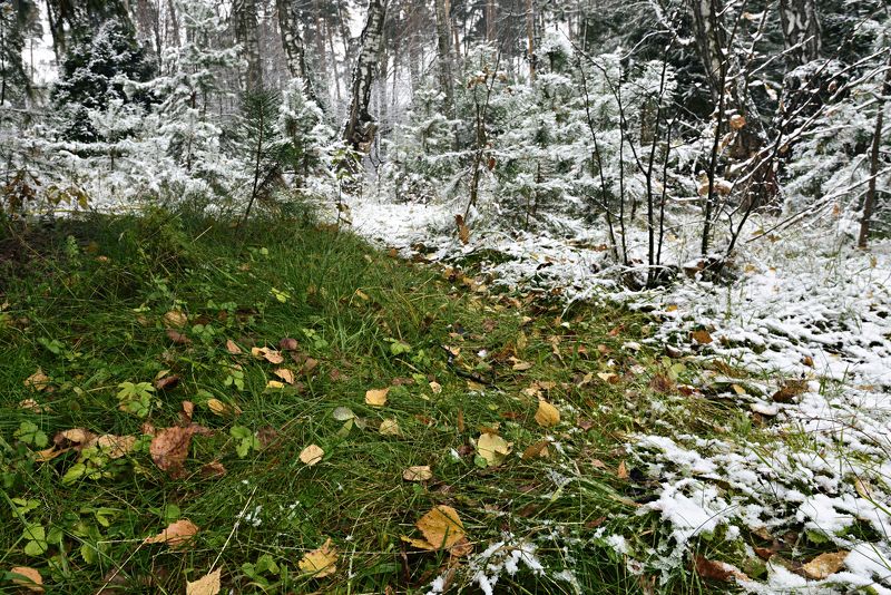 0-3 фото превью