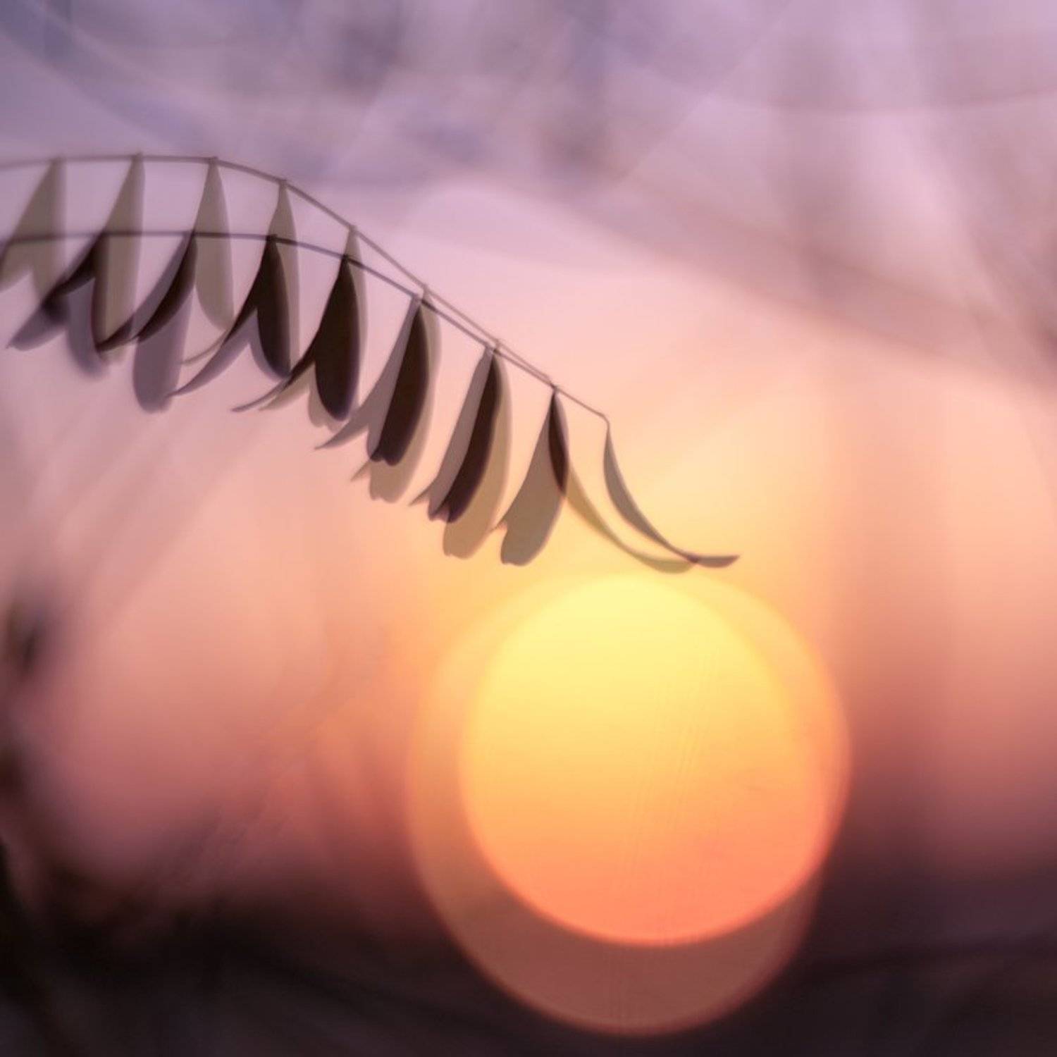 , Татьяна Аверина