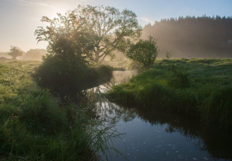 Майский этюд... фото превью