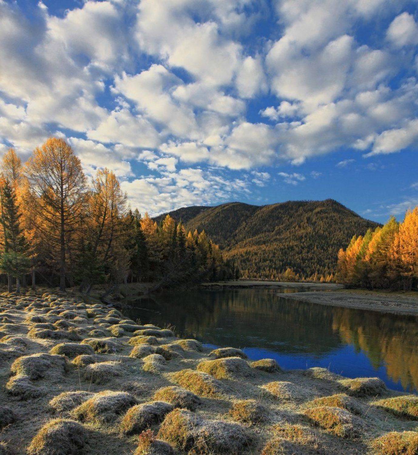 , Галина Хвостенко