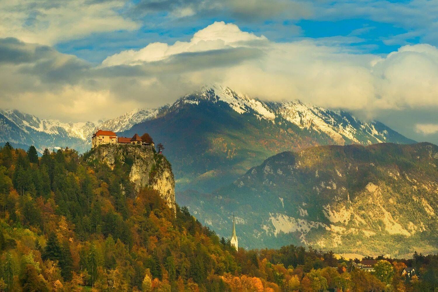 , Игорь Дубровский