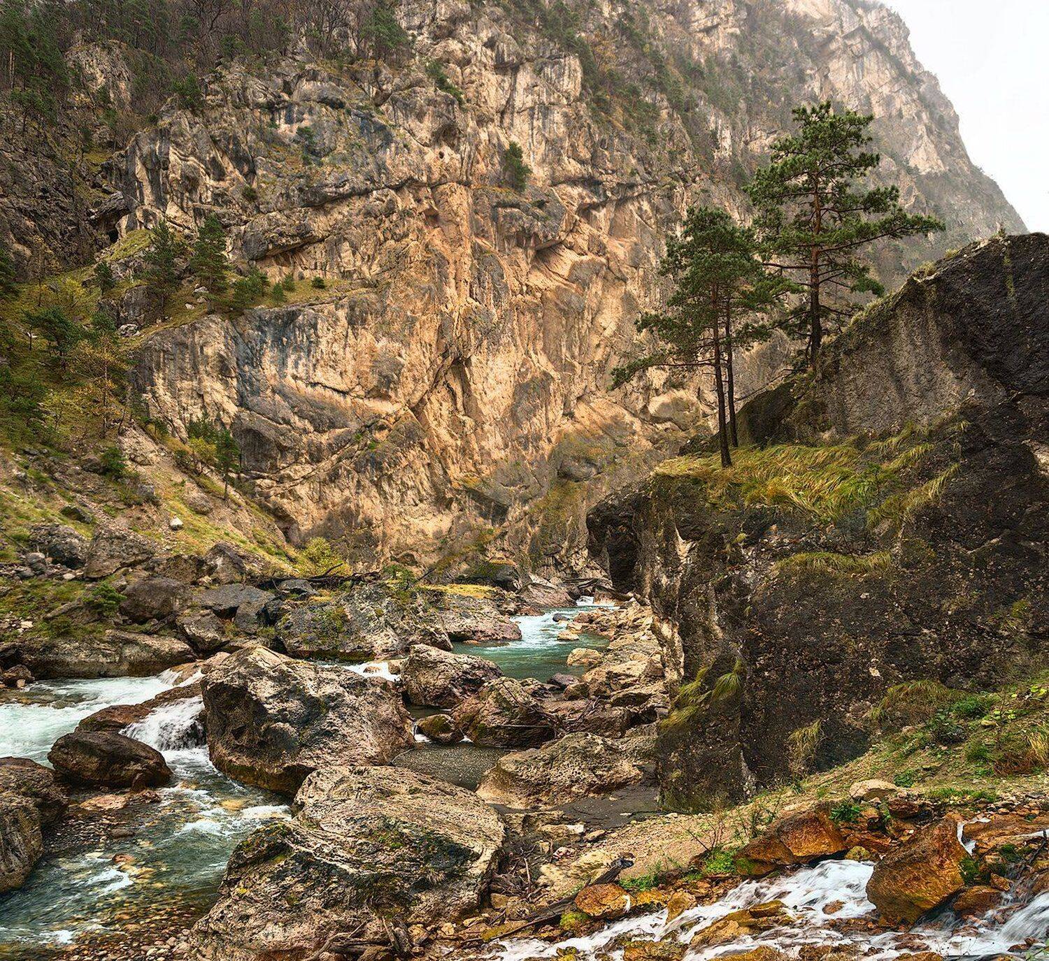 , Михаил Туркеев