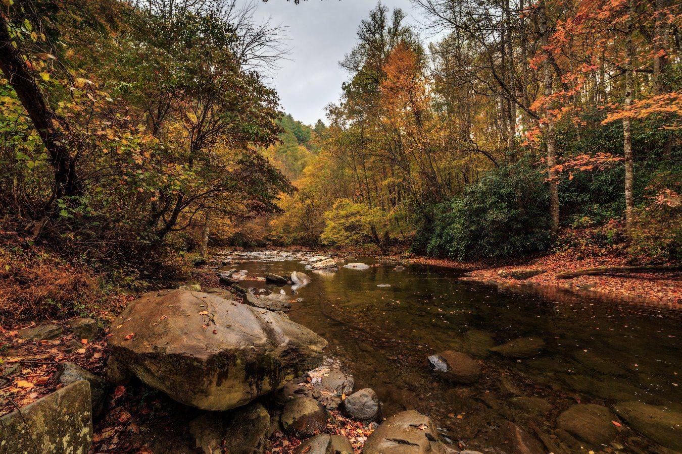 , Леонид Дьяченко