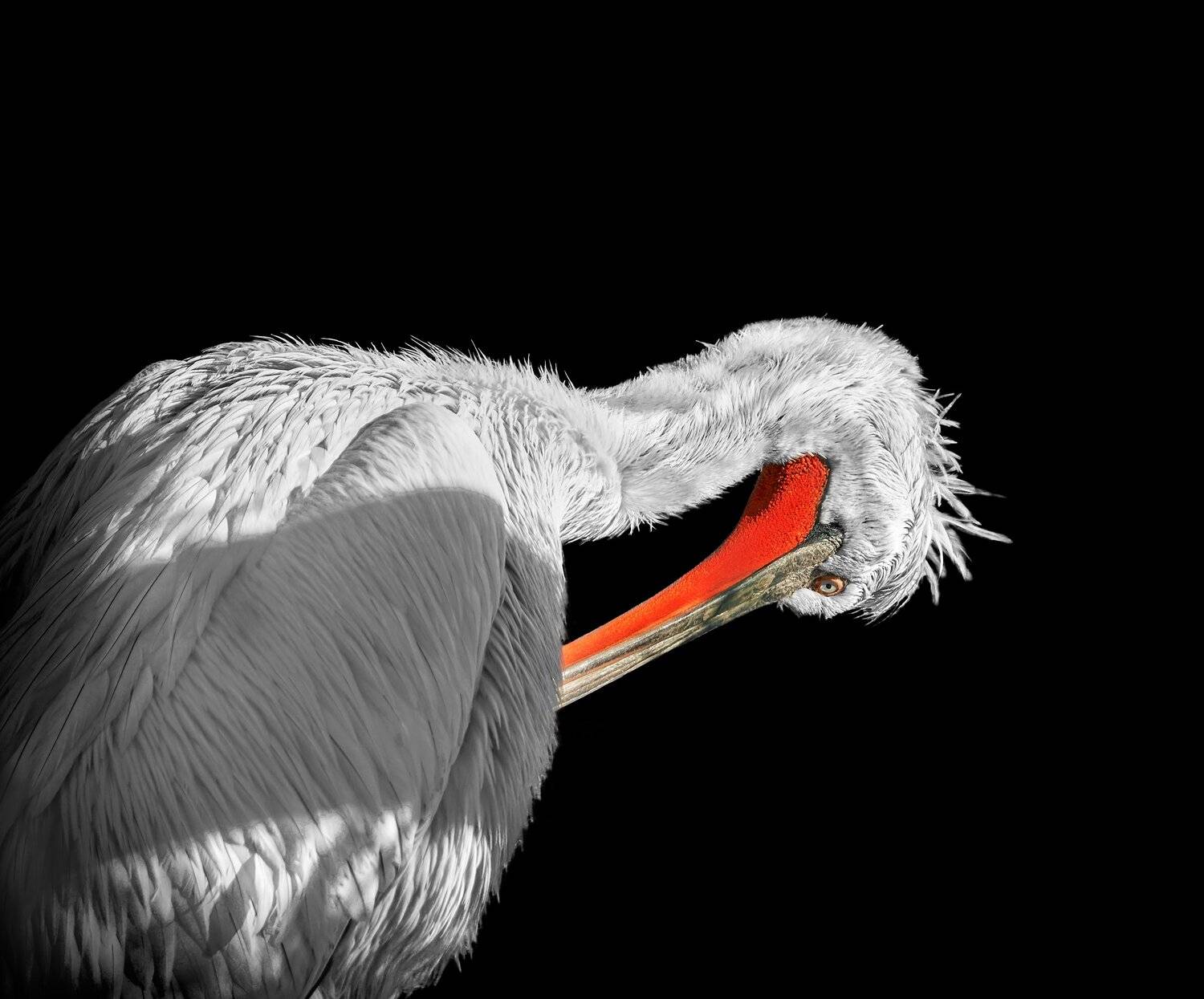 , Олег Богданов