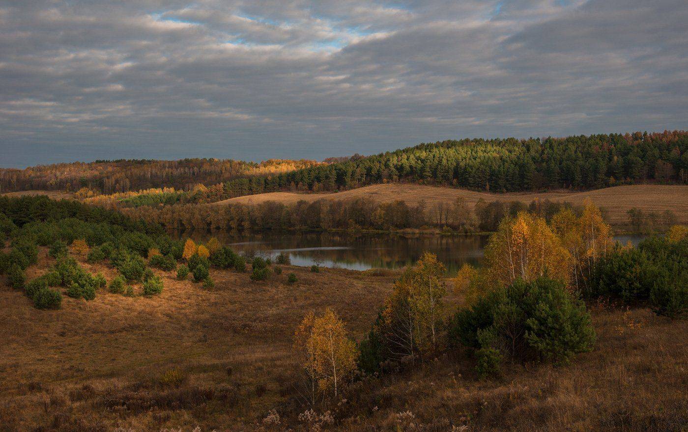 , Володимир Карчевський