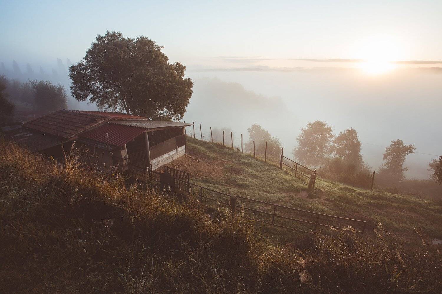 , Игорь Криницын