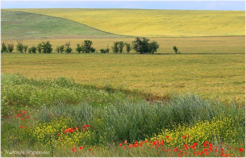 крым, керченский полуостров Маки фото превью
