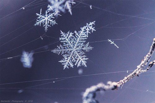 A Gift Of Enlightenment IV