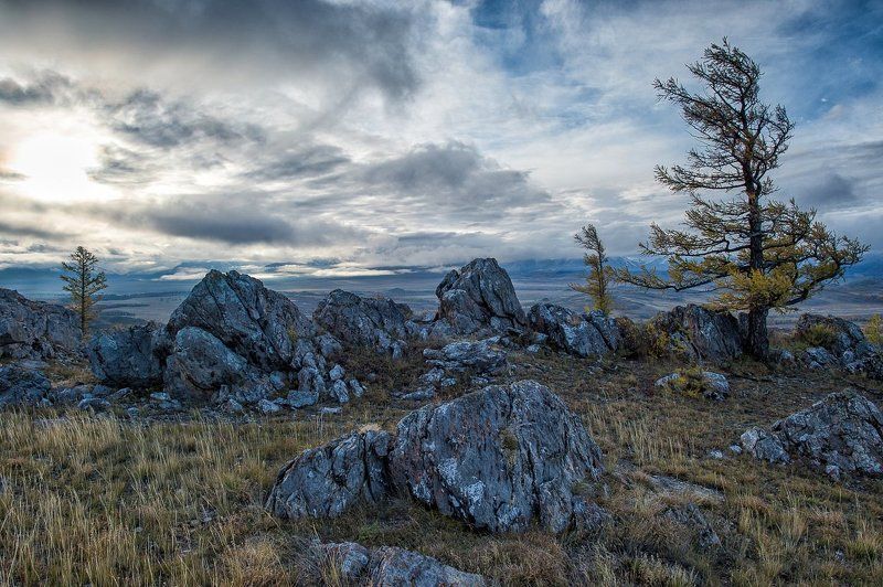 цвет или монохром? фото превью