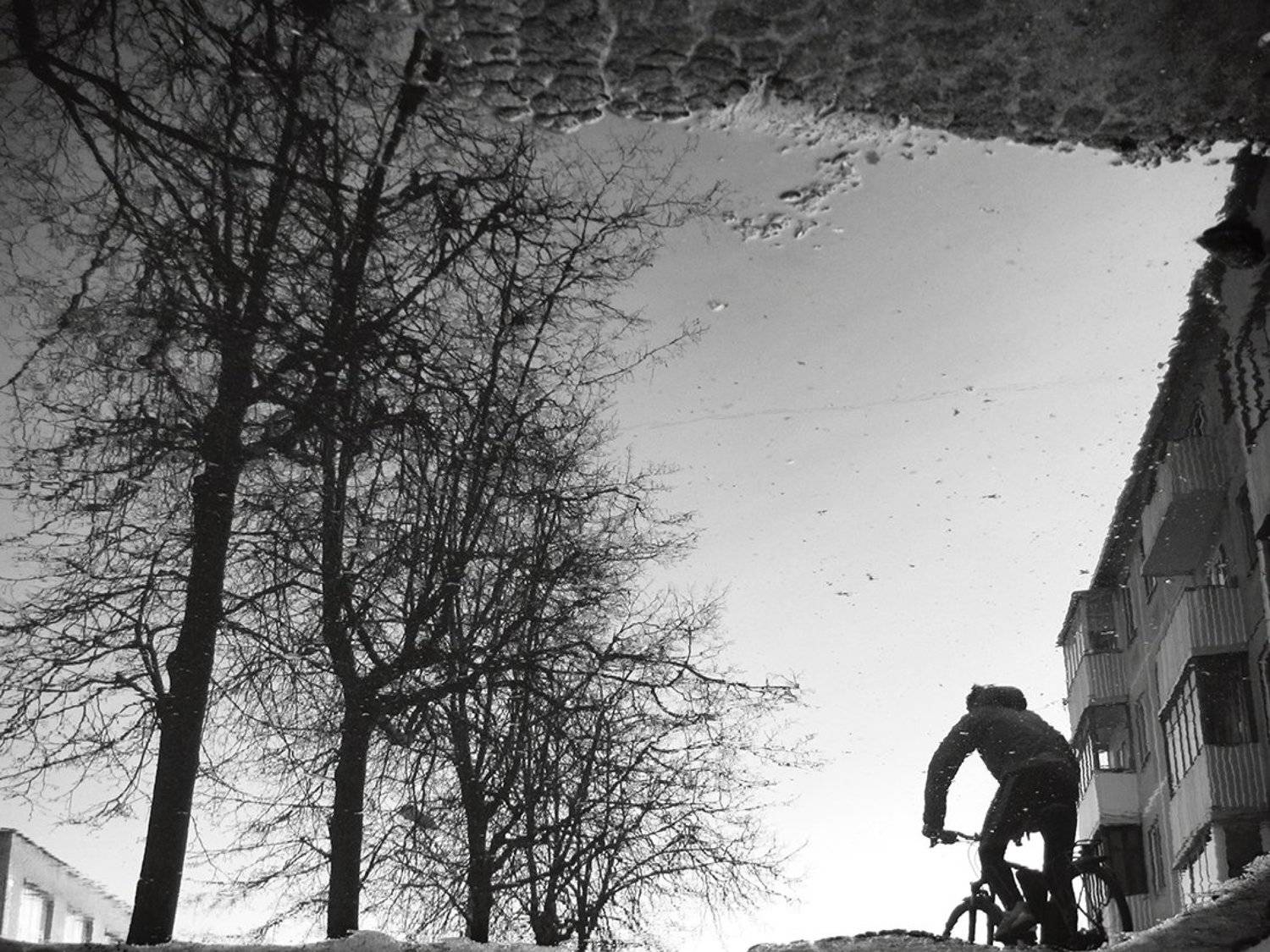 , Анна Кудрявцева