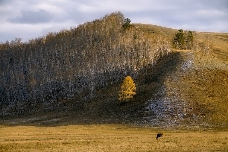 Осени последние дни фото превью