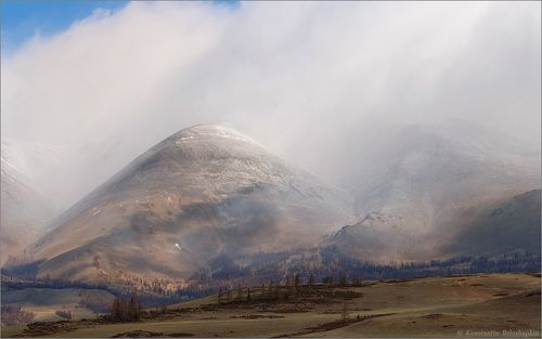 Курай, весна