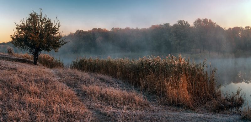 Прогулки осенью фото превью