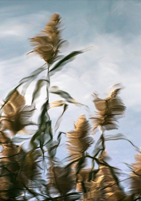 отражение Отражение фото превью