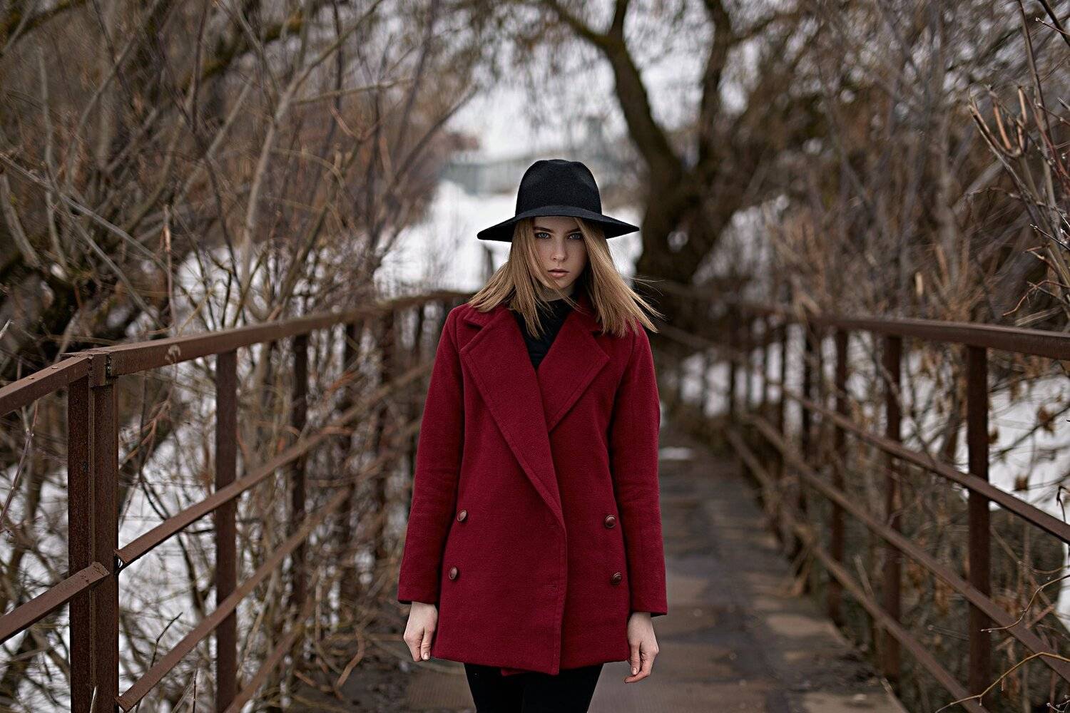 , Веселов Александр