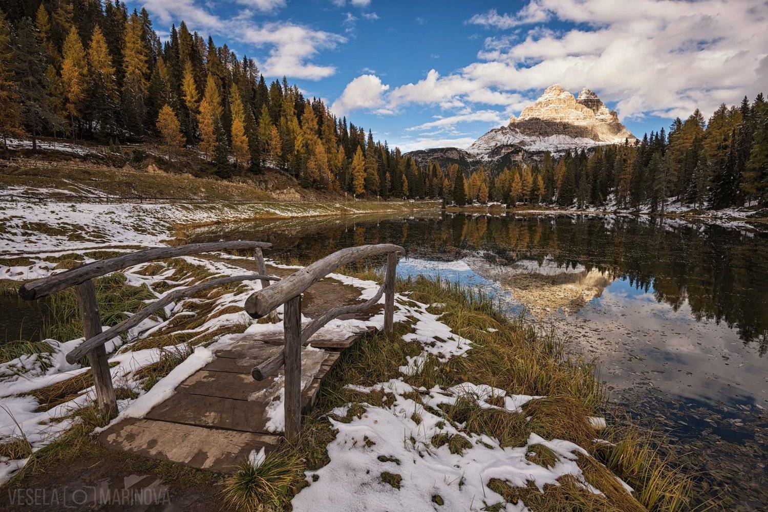 , Весела Маринова