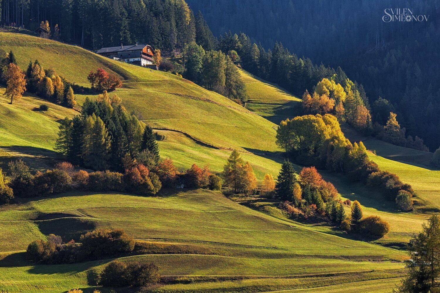 , Svilen Simeonov