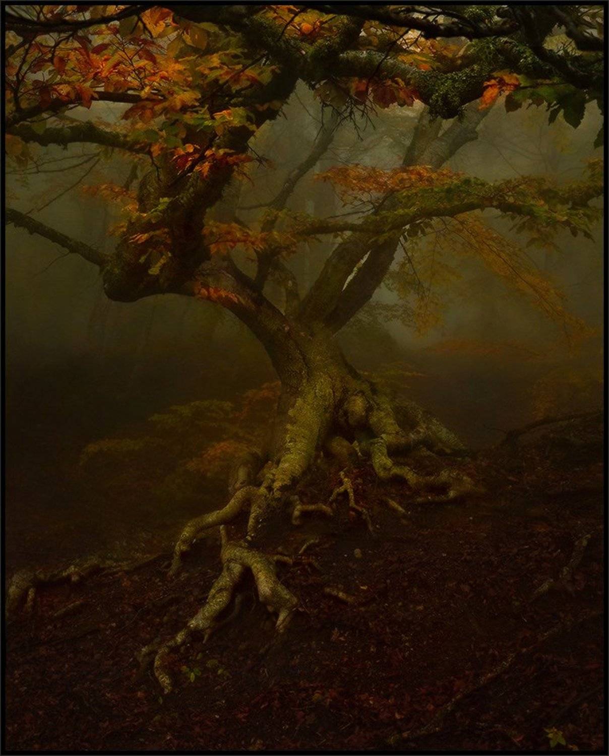 , Владимир Метцгер