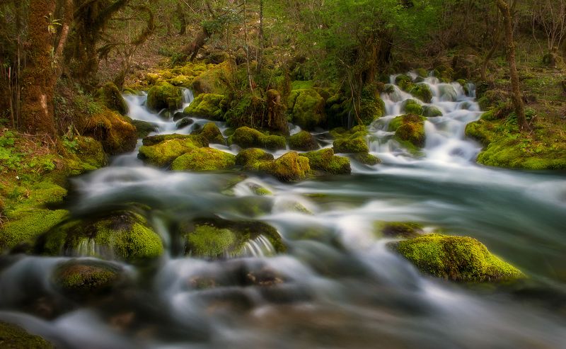 #nature, #landscaspe, #nikon, #national, parck, #spring, #instagram Spring of minds фото превью