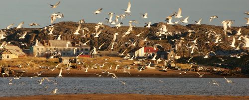 Рыбное место