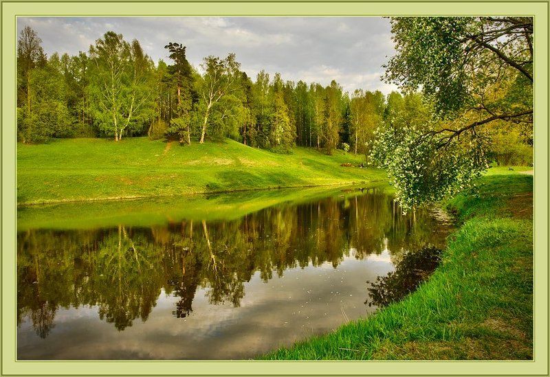 павловск,парк Павловск.Парк фото превью